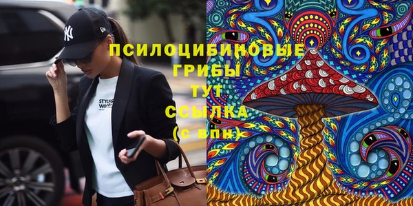 кокс Баксан