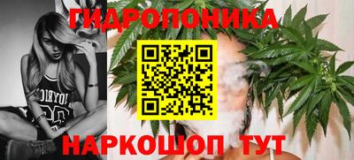 apvp Кимры