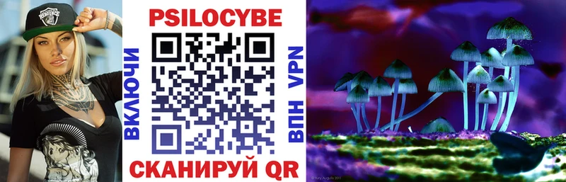 Псилоцибиновые грибы мухоморы даркнет сайт Сердобск