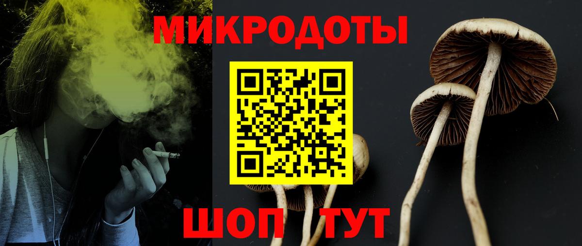 Галлюциногенные грибы Cubensis  Вход с VPN  Сердобск 