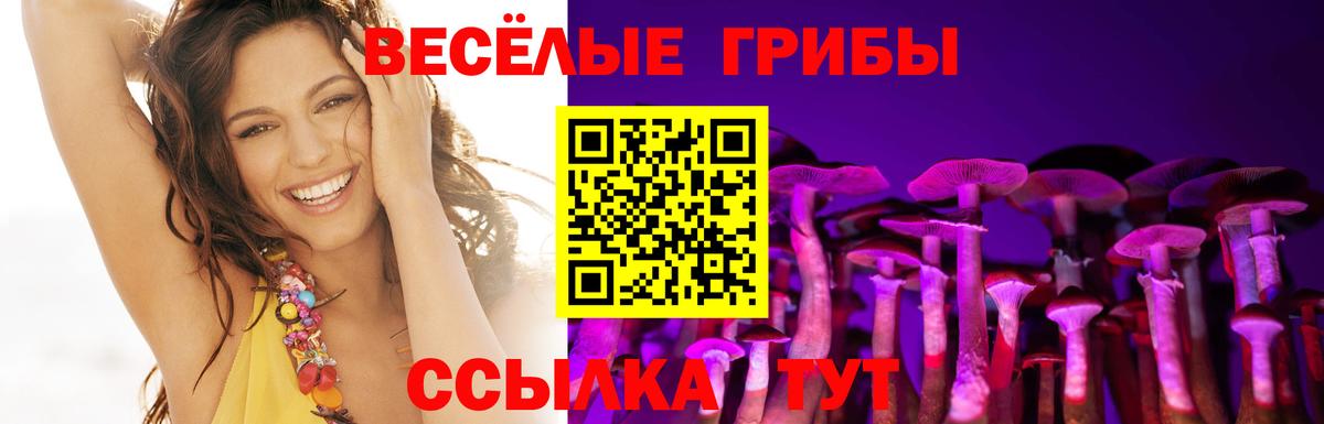 Псилоцибиновые грибы GOLDEN TEACHER Сердобск